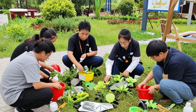 系统维护中教学资源优化的常见误区